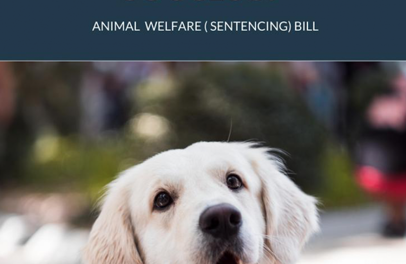 Sir David welcomes the Animal Welfare (Sentencing) Bill receiving Royal Assent